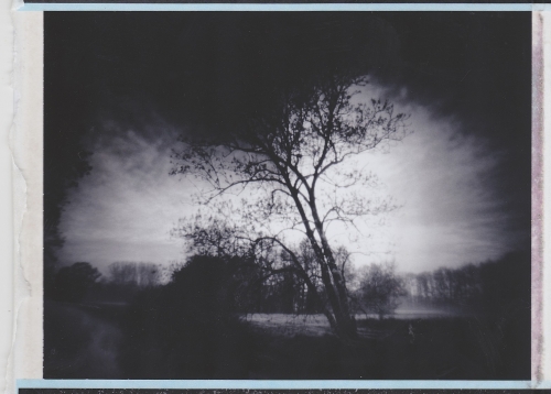 20120618011201stenope 4x5 polaroid back 0a 0afuji fp 3000b45