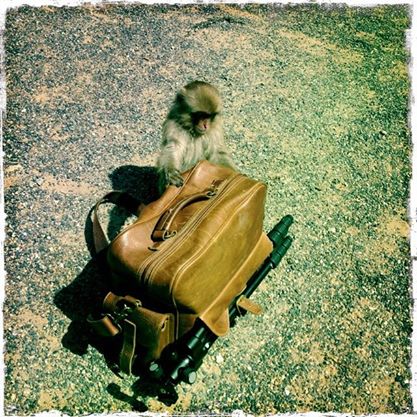 1238910 615187431845996 571656090 n